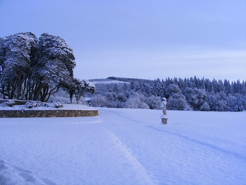Kilronan Castle Hotel & Spa Ballyfarnon Eksteriør billede